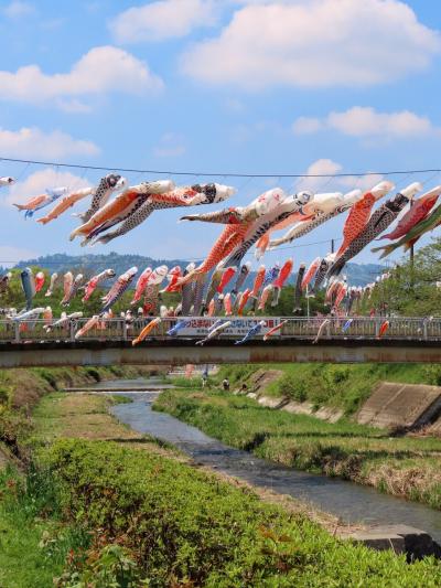 春旅・ぷち　長房の鯉のぼりと立川をプラプラ