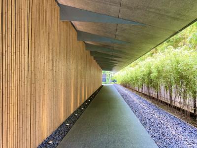 都内美術館ハシゴの旅②遂に燕子花図屏風にお目もじ叶う