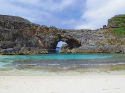 24時間の船旅で都内の小笠原へ（3．1日クルーズ：南島上陸とホエールウォッチング）