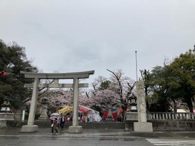 春休み　13人の鎌倉殿　修善寺旅行