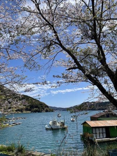 紀伊半島・桜と旅する三日間