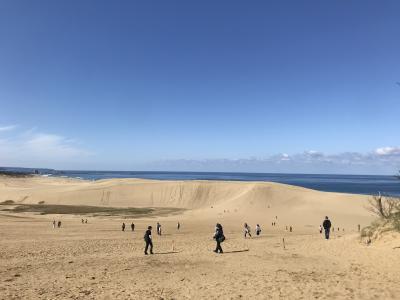 2020年11月 秋の島根・鳥取ひとり旅 鳥取編 [鳥取砂丘と姫路城]