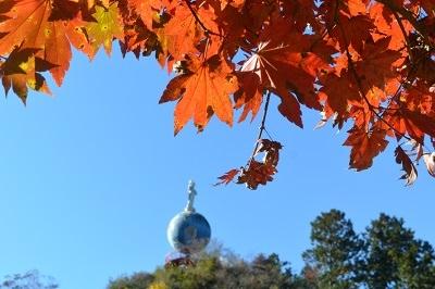 2021年11月小さい秋を探す旅1