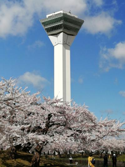 18年ぶりの函館 ①  五稜郭の桜編