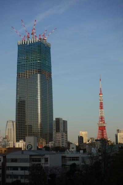 【東京良爺散歩　Tokyo Easy Sampo　春の港区】桜と爆音！の青山霊園から黄昏の麻布十番の散歩の巻