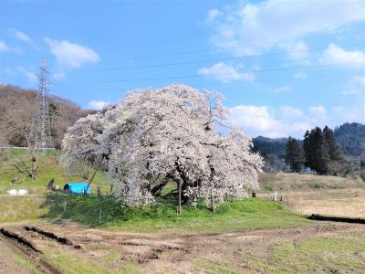 2022桜紀行 in 会津①芦ノ牧温泉駅・天鏡閣・石部桜