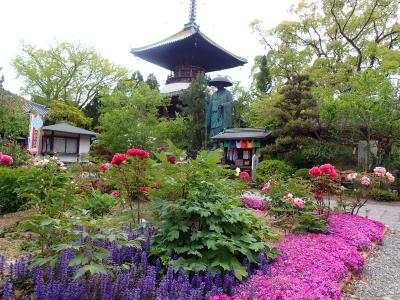 四国ツーリング　5日目　１８番恩山寺から第19番札所立江寺・奥の院挙正寺・妙見山取星寺