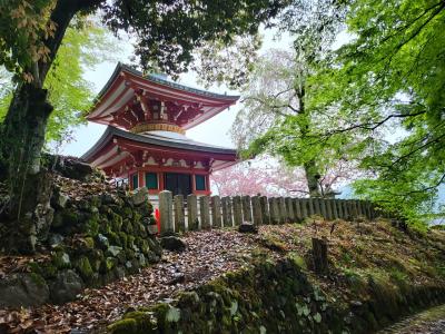 霊気を受けに「鞍馬さん」