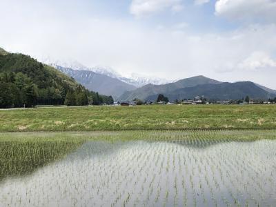 ２０２２春の長野２泊３日★２　安曇野・大町