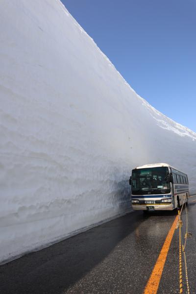 18ｍの雪の壁　立山黒部アルペンルート雪の大谷へ