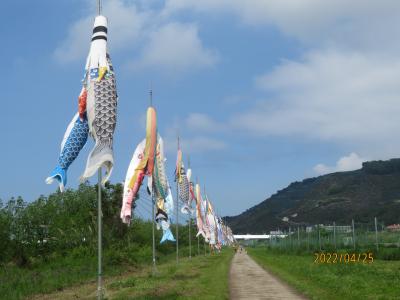 さわやかレンタサイクル 　和歌山箕島へ。