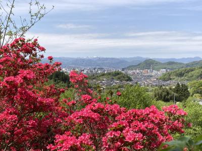 福島 高畑天満宮の鷽替え神事に行って　 飯坂温泉と花見山公園でひとりお花見の一泊二日