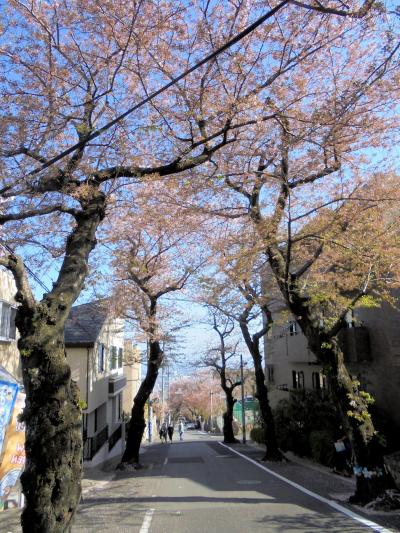 葉桜と飛行機