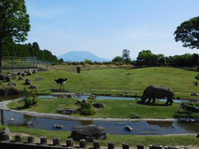 どこかにマイルで鹿児島へ 2日目