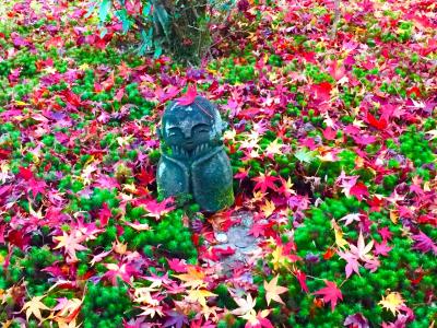 ラーメンと紅葉を求めに京都へ!