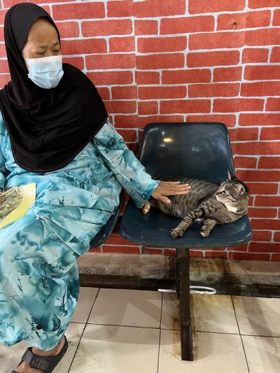 スラマッハリラヤ。そして、Malaysia Boleh!(タマンユニバーシティ朝市)