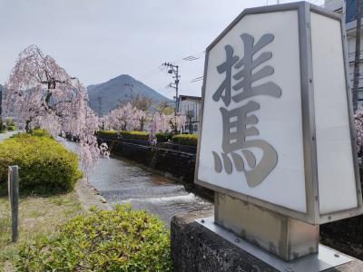 桜旅 ('22/04 No3 夏井の千本桜~霞城公園の桜~倉津川の桜)