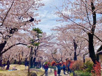 飛鳥山公園から巣鴨へ