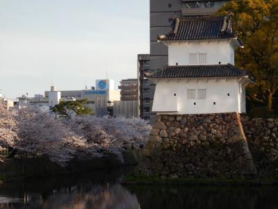 【春のSAKURAドライブ】城の魅力は無限大③府内城見学の後は大分のうまいんを食べに行く