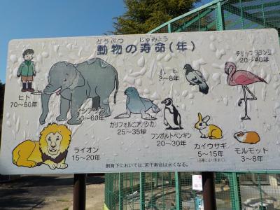 無料の城山動物園、信州割で大江戸温泉物語鹿教湯藤館に宿泊