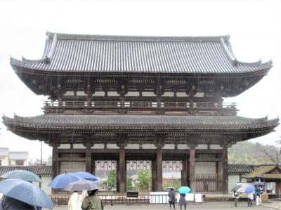 京都市内観光・・醍醐寺～仁和寺～東寺を巡る　（2）仁和寺・名勝庭園、御殿特別公開