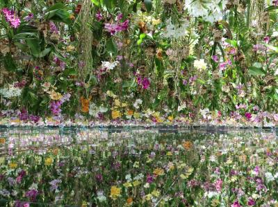 チャリと行く春の花旅東日本 2022 /１日目(4/22)前編