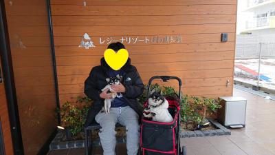 愛犬を連れてお正月旅行　伊勢～滋賀へ　4泊５日の旅　　　Part２