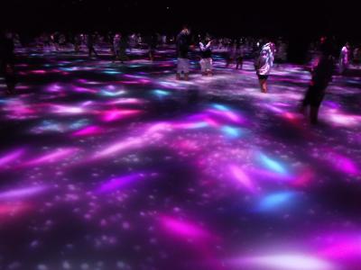 TeamLab★Planets TOKYO