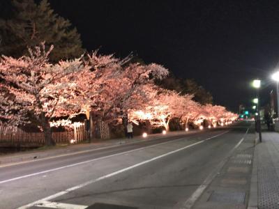 2022年4月大人の休日パス東日本スペシャルで行く東北鉄道旅行4（弘前で一泊）