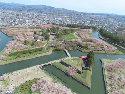 桜を追い掛けて　青森～函館へ（終）