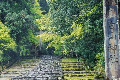 福井の旅、雨の永平寺と苔寺巡り。