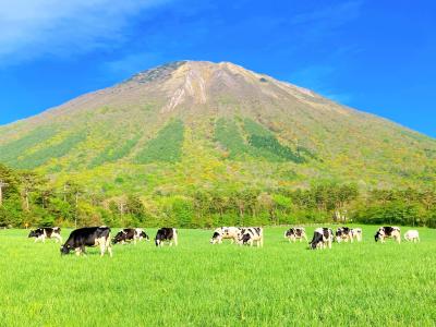 新緑の大山ドライブ　鳥取旅行