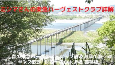 ０２．春の東急ハーヴェストクラブ静波海岸１泊　ギネス認定 世界一長い木造橋 蓬莱橋 