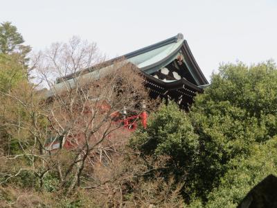 近鉄西信貴ケーブルで寅のお寺“朝護孫寺”へ　復路は難波から近鉄豪華特急＜ひのとり＞で