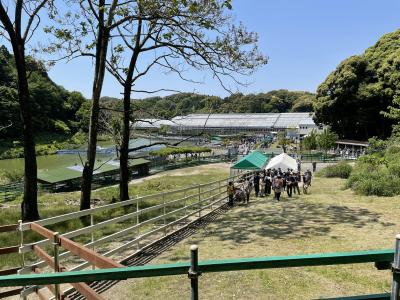 掛川市の花鳥園でインコの群れに襲われそうになってみる。