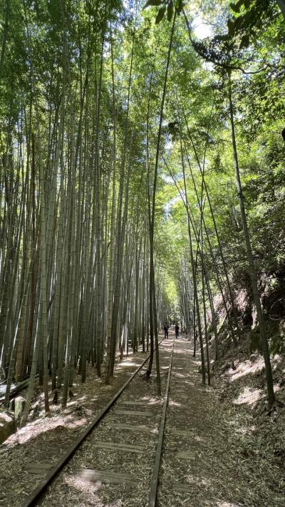 見どころ満載、お土産いっぱい！快晴の旧国鉄倉吉線廃線跡ウォーキング