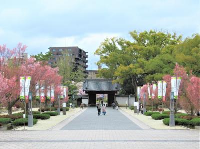 総集編⑤ 2022&#127800;彩る名古屋・犬山の旅最終日は「徳川園 」＆ 名古屋めし本店３店舗食べ歩きで締めくくります