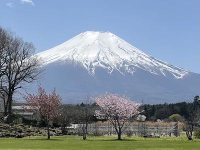 晴天の富士山