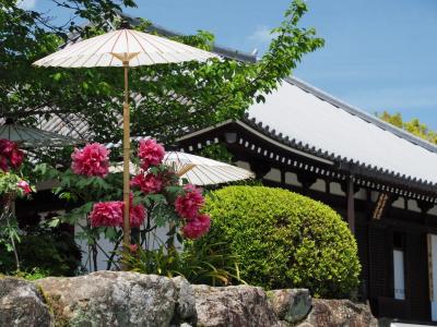 2022年春 奈良の花と新緑撮影旅行２