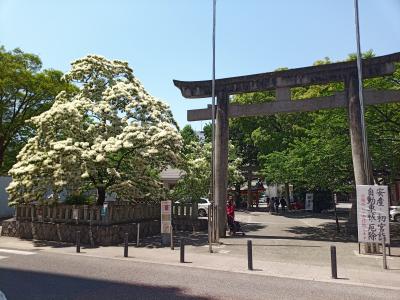 岐阜駅北ぶらぶら