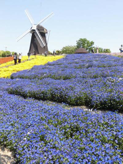 こどもの日　晴天の花博記念公園鶴見緑地