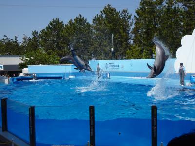 202205 新潟3(弥彦&新潟編)