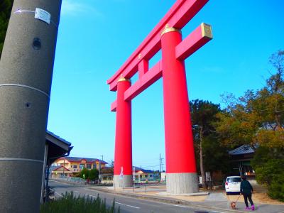 ワンちゃん同行の旅の原点－淡路島