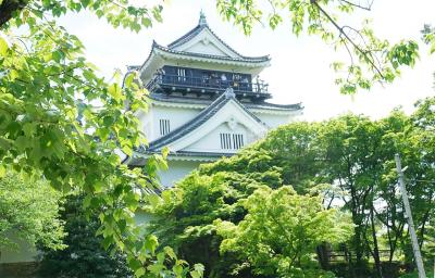 きれいな新緑と御朱印