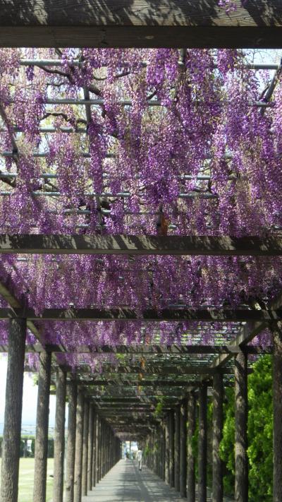 お茶屋敷跡と赤坂スポーツ公園