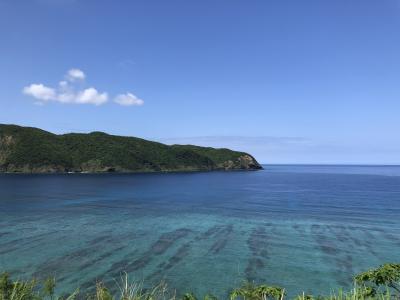 ２泊3日で奄美大島に行ってきました。金作原とマングローブのカヌーは是非体験してほしいです。
