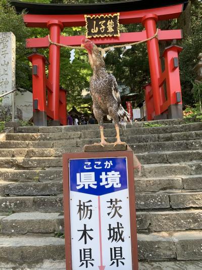 鷲子山上神社と道の駅巡り