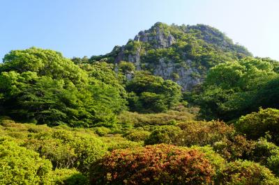 博多どんたくから武雄温泉・有田陶器市の旅（三日目完）～日本三大奇景にも負けない御船山楽園に巨大楠と武雄市図書館他。最後の陶器市は駆け足です～