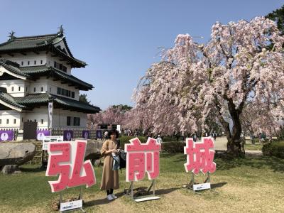 初めての東北。弘前城の桜は日本一。函館からスタート、シニア夫婦の旅。