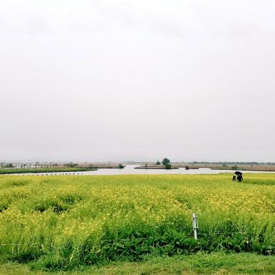 新潟旅行・バス輪行旅4・新発田～新潟市